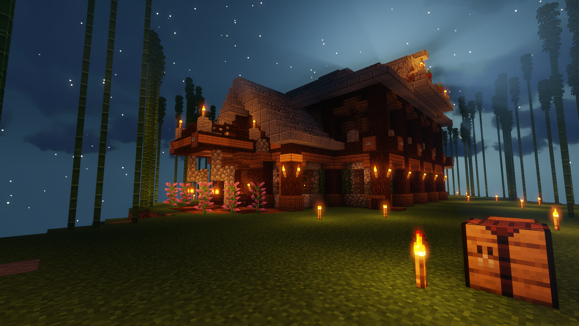 Minecraft Server